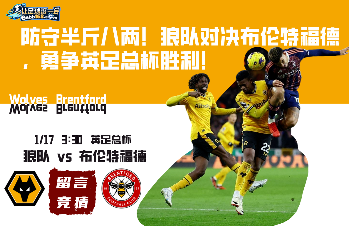 英足总杯赛事分析-狼队vs布伦特福德