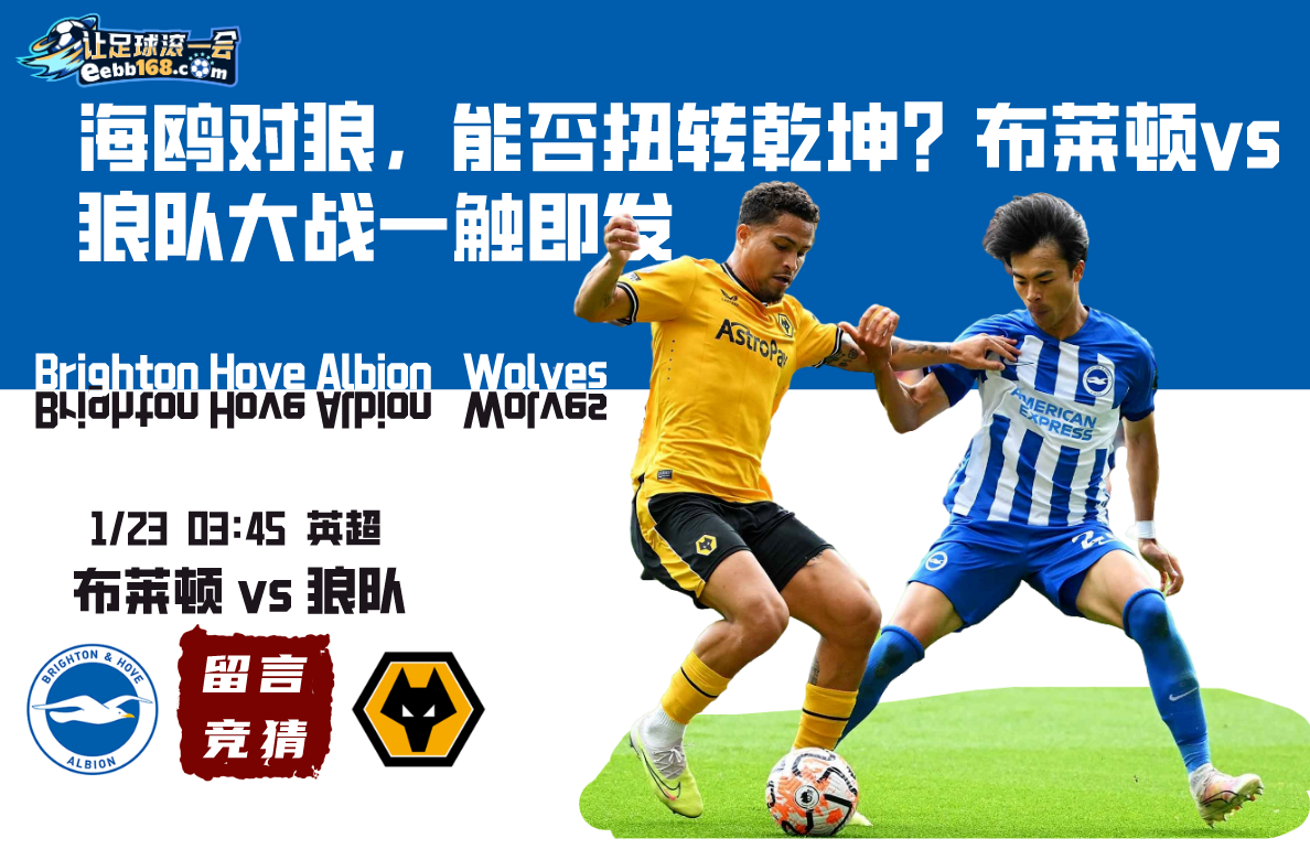 英超赛事分析-布莱顿 vs 狼队