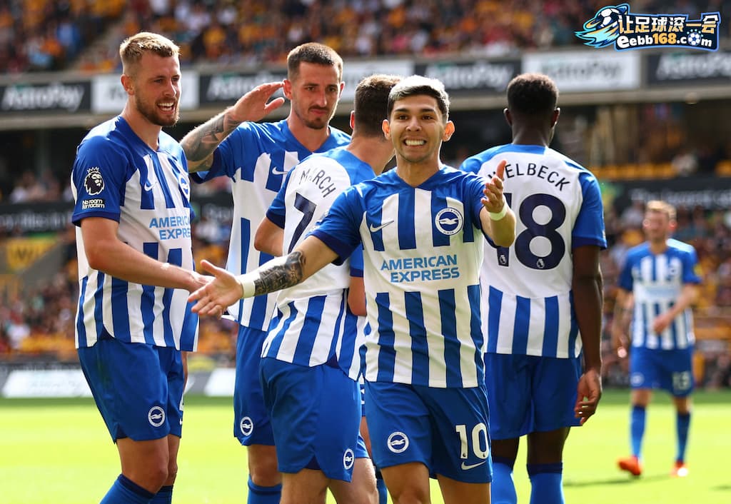 Brighton Hove Albion 足球赛事分析