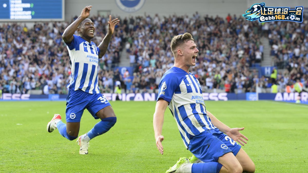 Brighton Hove Albion 足球赛事分析