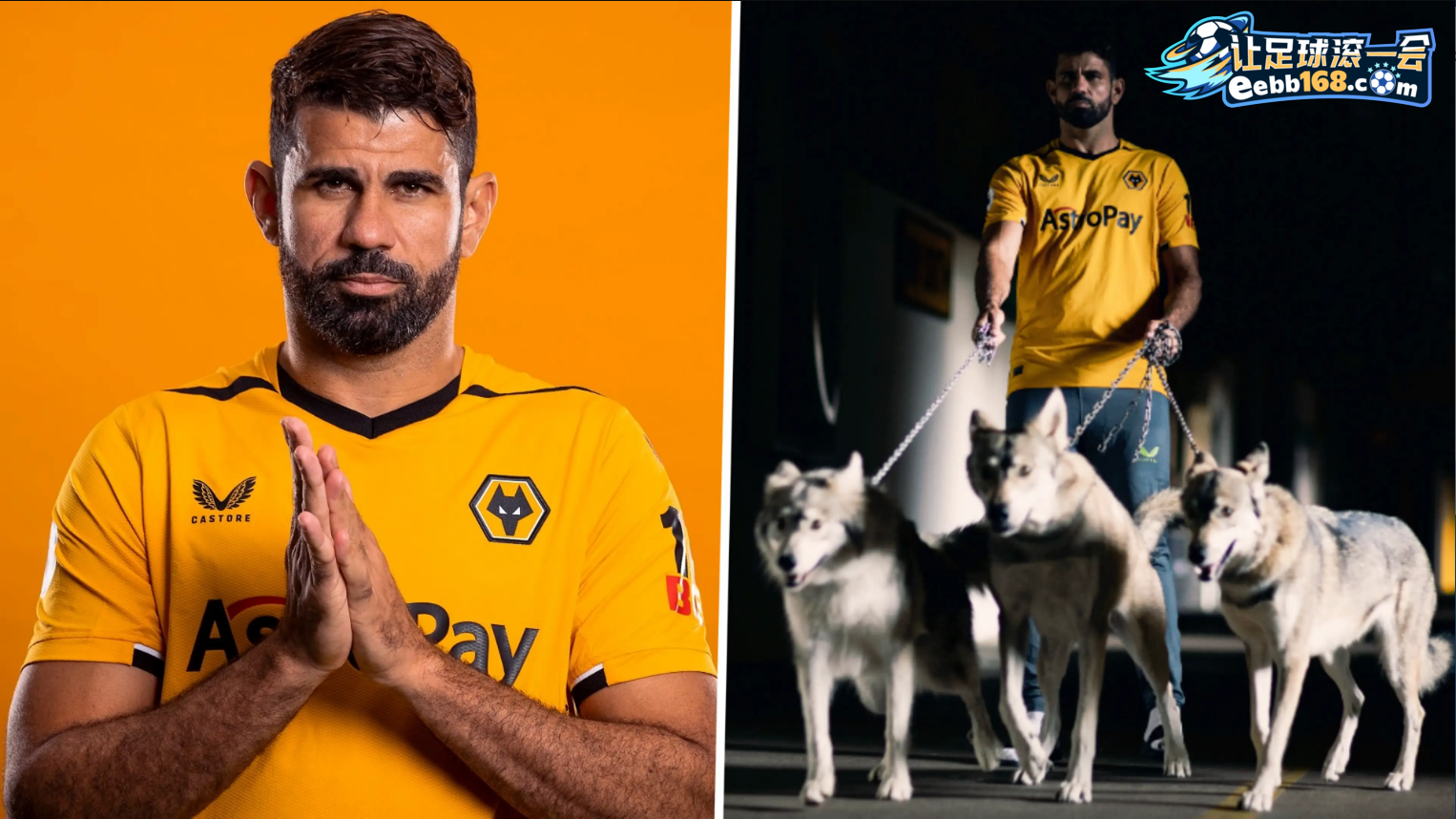 Wolves 足球赛事分析